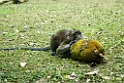 Abe Bohol_PHI4147